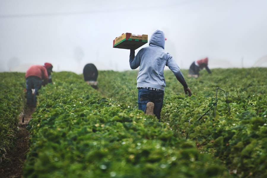 Smart farming